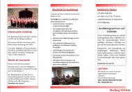 Flyer2
